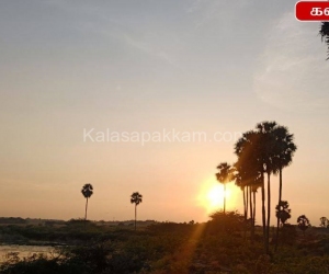 Kalasapakkam Lake