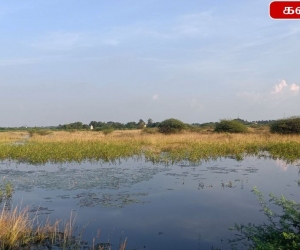ksm-lake-1